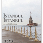 Naslovnica: Istanbul Istanbul