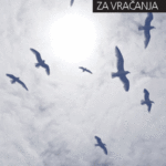Naslovnica: Sprehajališča za vračanje