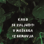 Naslovnica: Kako se zaljubiti v moškega iz grmovja