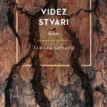 Naslovnica: Videz stvari : roman