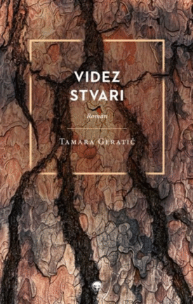 Naslovnica: Videz stvari : roman