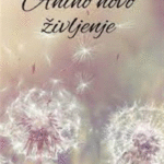 Naslovnica: Anino novo življenje