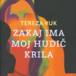 Naslovnica: Zakaj ima moj hudič krila