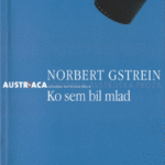 Naslovnica: Ko sem bil mlad : roman