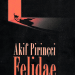 Naslovnica: Felidae