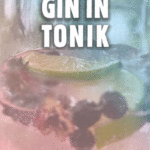 Naslovnica: Gin in tonik