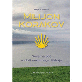 Naslovnica: Milijon korakov: Severna pot vzdolž nemirnega Biskaja: Camino del Norte