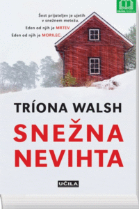 Naslovnica: Snežna nevihta