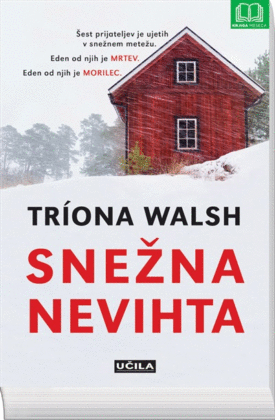 Naslovnica: Snežna nevihta