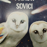 Naslovnica: Pegasti sovici : zbirka pravljičnih zgodb kako raziskovati in podpreti svoje misli
