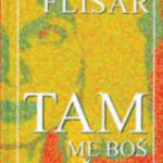 Naslovnica: Tam me boš našel