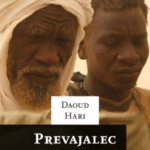 Naslovnica: Prevajalec : spomini Darfurca