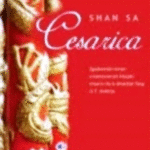 Naslovnica: Cesarica : [zgodovinski roman o kontroverzni cesarici Vu iz dinastije Tang iz 7. stoletja]