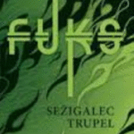 Naslovnica: Sežigalec trupel