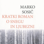 Naslovnica: Kratki roman o snegu in ljubezni