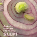 Naslovnica: Slepi maser
