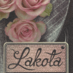 Naslovnica: Lakota