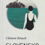 Naslovnica: Slovensko poletje: roman