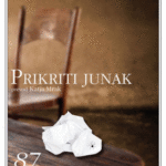 Naslovnica: Prikriti junak