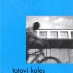 Naslovnica: Tatovi koles