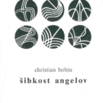 Naslovnica: Šibkost angelov : izbor kratke proze