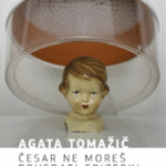 Naslovnica: Česar ne moreš povedati frizerki