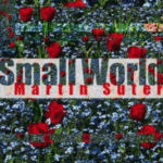 Naslovnica: Small world