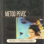 Naslovnica: Večer v Dubrovniku: roman