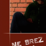 Naslovnica: Ne brez boja