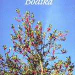 Naslovnica: Bodika