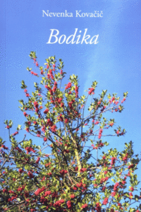 Naslovnica: Bodika