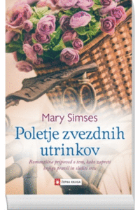 Naslovnica: Poletje zvezdnih utrinkov
