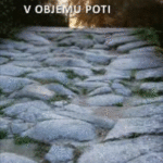 Naslovnica: V objemu poti : El Camino