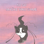Naslovnica: Ko so mačke tako same