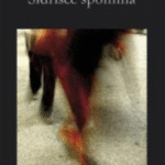Naslovnica: Sidrišče spomina