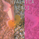 Naslovnica: Hvalnica senci