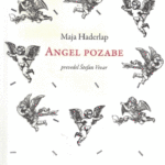 Naslovnica: Angel pozabe