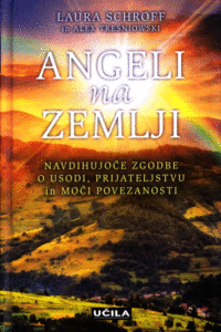 Naslovnica: Angeli na zemlji : navdihujoče zgodbe o usodi, prijateljstvu in moči povezanosti