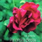 Naslovnica: Panonska elegija : deset pripovedi