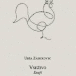 Naslovnica: Vseživo: eseji