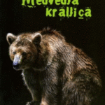 Naslovnica: Medvedja kraljica