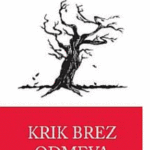 Naslovnica: Krik brez odmeva