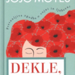 Naslovnica: Dekle, ki si ga zapustil