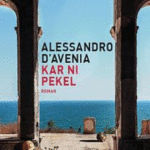 Naslovnica: Kar ni pekel : roman