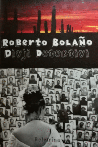 Naslovnica: Divji detektivi