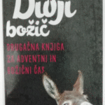 Naslovnica: Divji božič : drugačna knjiga za adventni in božični čas