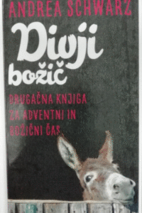 Naslovnica: Divji božič : drugačna knjiga za adventni in božični čas