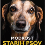 Naslovnica: Modrost starih psov: od pasjih starčkov se lahko naučimo, kaj je res pomembno v življenju in kako nanj gledati bolj sproščeno