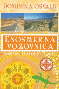 Naslovnica: Enosmerna vozovnica : sedemletna pot