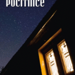 Naslovnica: Poletne počitnice